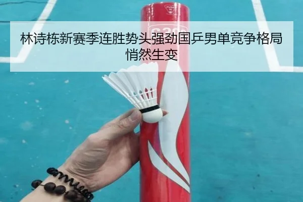 林诗栋新赛季连胜势头强劲国乒男单竞争格局悄然生变 - IMSPORTS